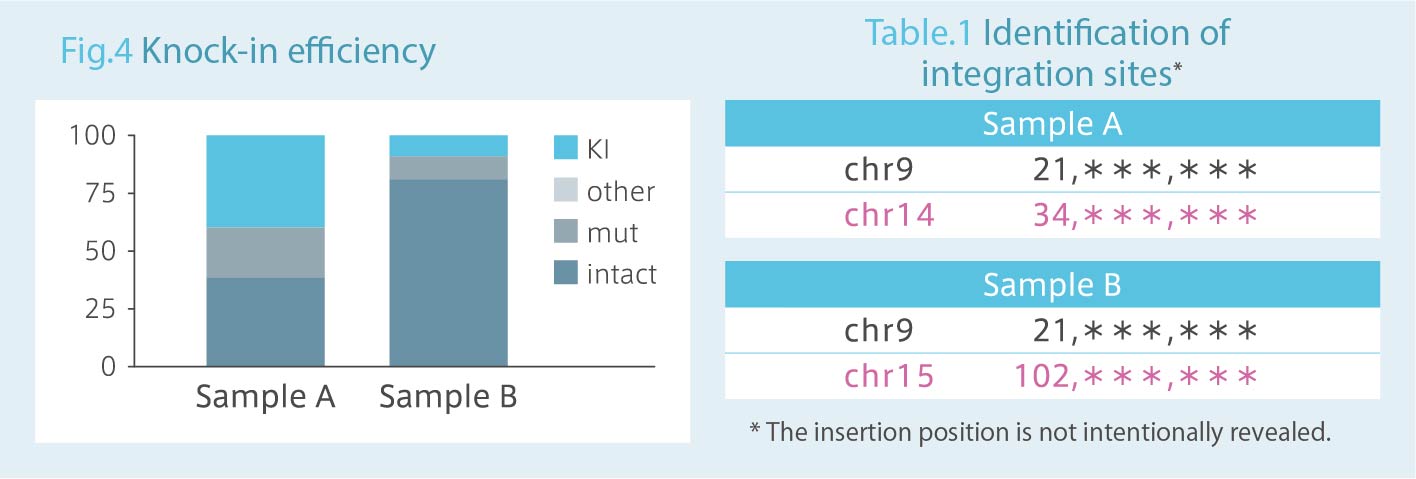 RAISING is a high-performance method for identifying random transgene  integration sites