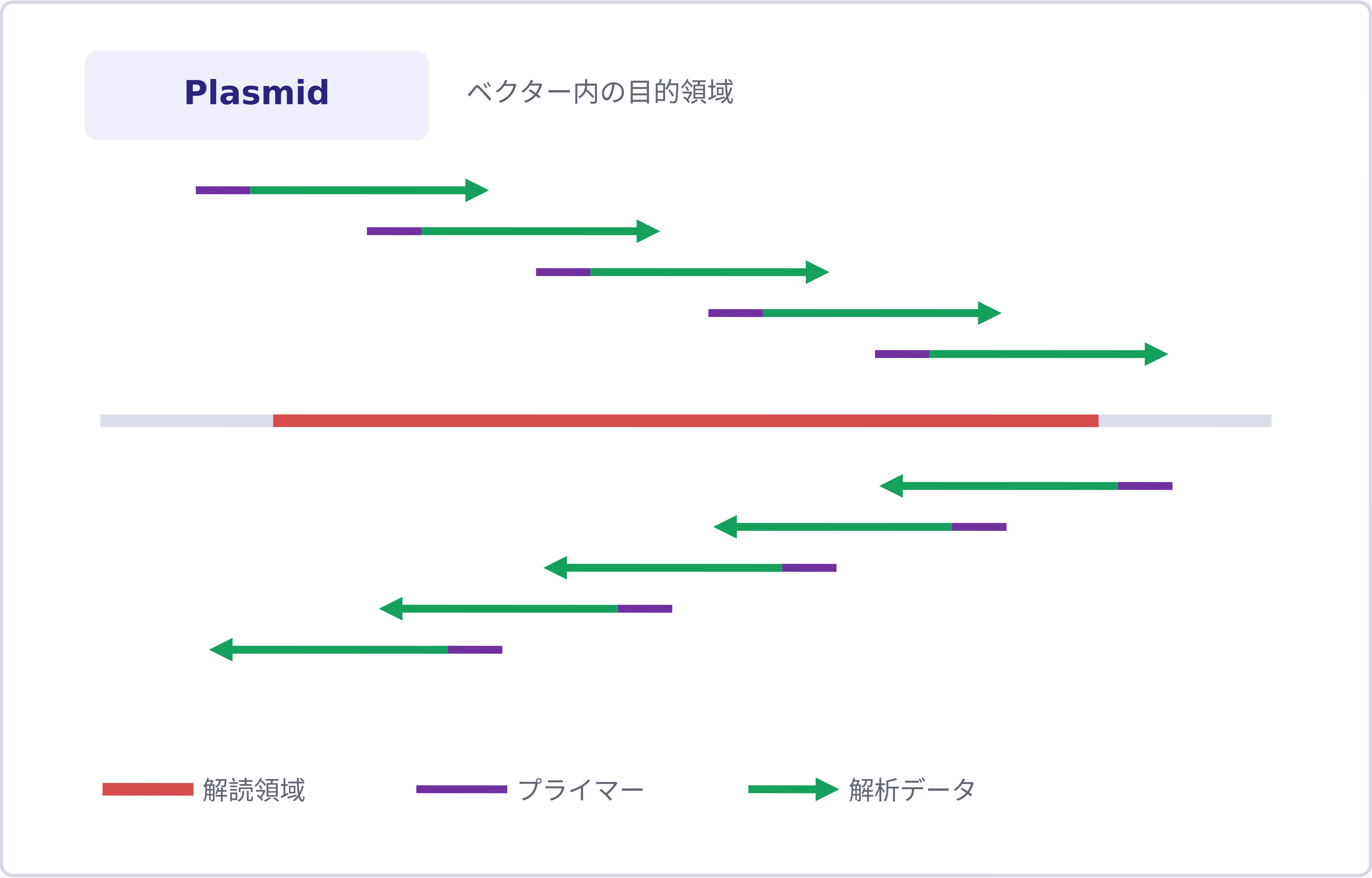 全長両鎖解析のPlasmid解析イメージ