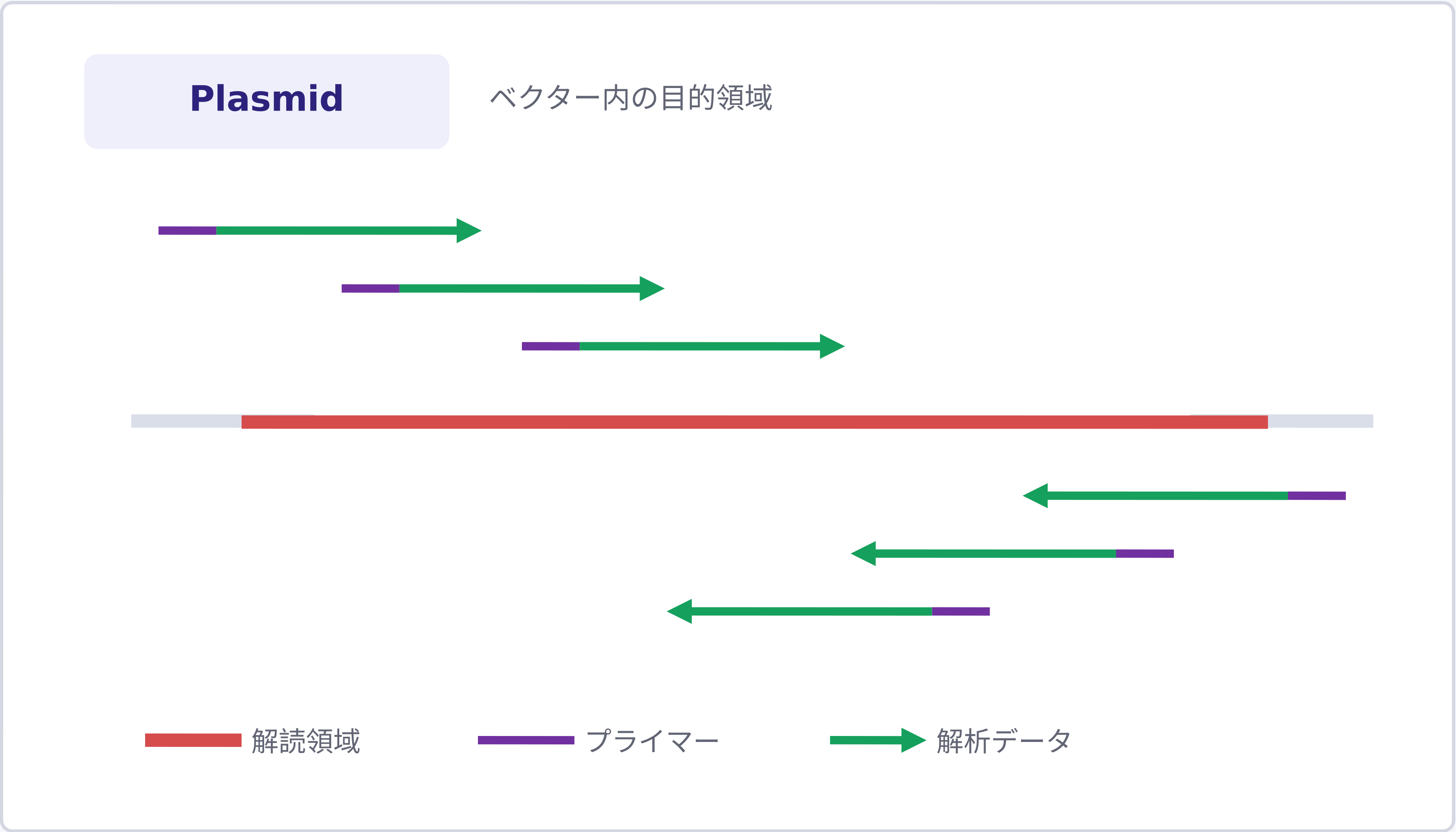 全長片鎖解析のPlasmid解析イメージ