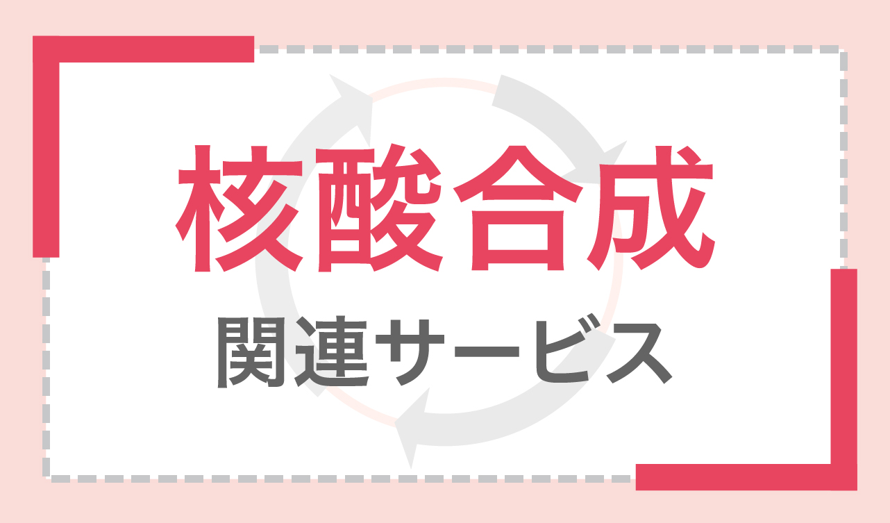 核酸合成