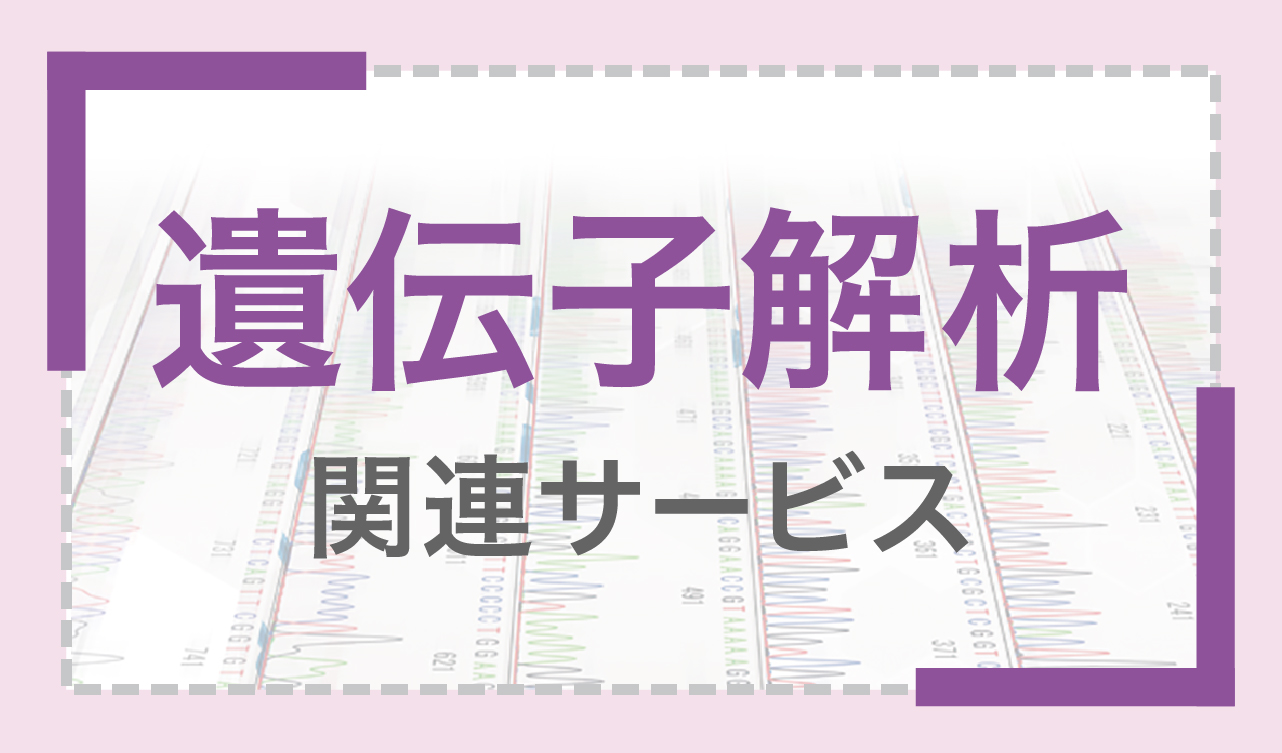 遺伝子解析